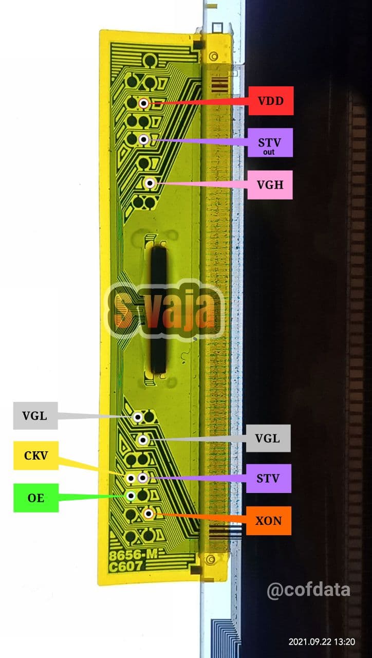 8656-M C607.jpg