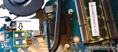 acer 1.jpg