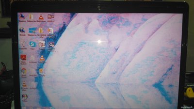 IMG_20160229_110058.jpg