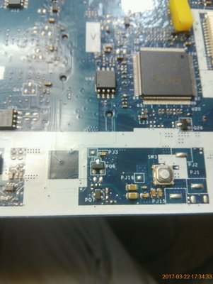 Acer.jpg